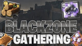 How To Effectively Gather In Black Zone  Albion Online 2019 [upl. by Hsirk]