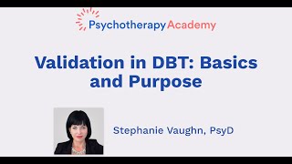 Validation in DBT Basics and Purpose [upl. by Elisabetta]