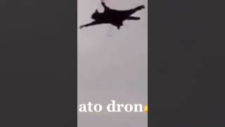 Gato dron 👍 [upl. by Cho347]