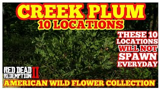 CREEK PLUM 10 Locations American Wild Flower Collection Red Dead Online [upl. by Dylana]