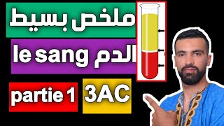 svt 🔥 le sang et la circulation sanguine de lhomme 🔥 résumé partie 1 3ac [upl. by Carlyle]