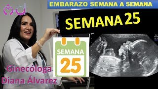 SEMANA 25 EMBARAZO SEMANA A SEMANA POR GINECOLOGA DIANA ALVAREZ [upl. by Sara-Ann838]