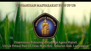 Pengabdian Masyarakat Diseminasi Teknologi Produksi Agens Hayati untuk Petani Padi Desa Miru [upl. by Behka]