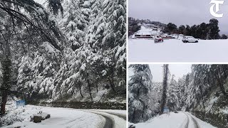 Solan Fresh snow wraps Chail in white blanket [upl. by Naibaf]