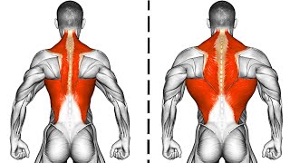 9 Exercises to Build a Wide Back Fast [upl. by Fechter]