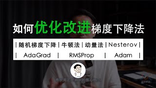 “随机梯度下降、牛顿法、动量法、Nesterov、AdaGrad、RMSprop、Adam”，打包理解对梯度下降法的优化 [upl. by Rodrique65]