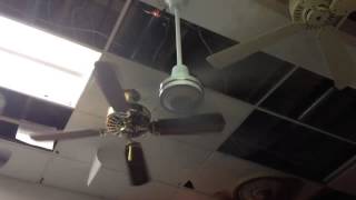 48quot Dayton Commercial Ceiling Fan [upl. by Atekin]