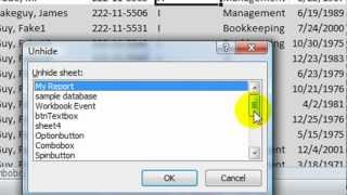 Excel VBA Tips n Tricks 14 Hiding Worksheets  xlHidden versus xlVeryHidden [upl. by Robson]