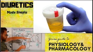 Diuretics CVS Pharmacology  part 1 [upl. by Kawai]