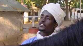 The Riders Of The Sahara  English Full Documentary [upl. by Refennej877]