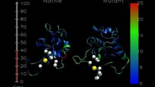 lysozyme [upl. by Aitak]