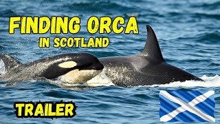 Finding Orca in Scotland  TRAILER [upl. by Leynad]