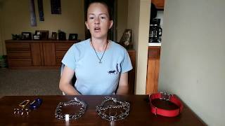 Intro to Prong Collars [upl. by Carolynne]