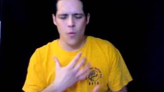 Truly Madly Deeply by Savage Garden in Sign Language ASLPSESEE amp Lyrics [upl. by Salangia]