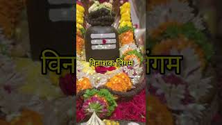 Shree Lingashtakam Lyrics shivling lingashtakam [upl. by Saenihp697]