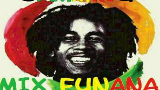 Bob Marley amp The Wailers  Jamming Remix Dj TOm Tom [upl. by Hasina]