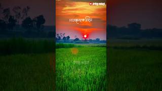 কোন নারীর যদি জাহান্নামে যায় একা যাবে না ‼️islamic status videoislamicshorts islamicstatus [upl. by Inesita991]