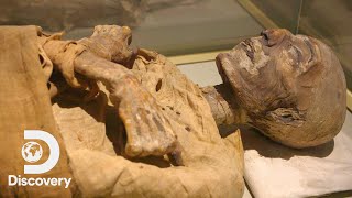 How Mummies Are Made  Expedition Unknown Egypt LIVE [upl. by Sydel]