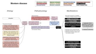 Meniere disease mechanism of disease [upl. by Kori604]