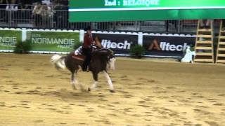 WEG 2014 Colonels Shining Gun [upl. by Careaga]