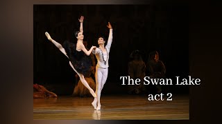 Swan lake백조의 호수 Лебединое озеро Viktoria Tereshkina Kimin Kim김기민 [upl. by Iew]