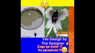 Yes Design Shpendi dhe Parashuta [upl. by Gillian]