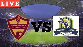 Stellenbosch FC vs Marumo Gallants FC Live Today Match [upl. by Saihtam]