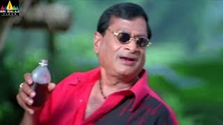 MS Narayana Comedy Scenes Back to Back  Krishna Movie Comedy  Ravi Teja Trisha  Sri Balaji Video [upl. by Enaej]