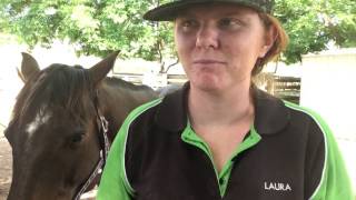 How To Tack Up With An Australian Stock Saddle [upl. by Salomo]