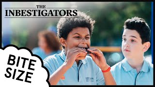 The Inbestigators 🔎 Bite Size 🍊 11 [upl. by Ojadnama]