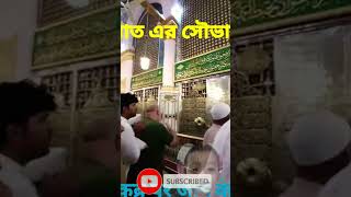 নবিজীর কবরনবিজী কা কবরyoutubeshort shortfeed islamic post love saudi masjidnabawi madina [upl. by Brathwaite350]