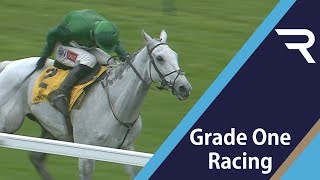 GREY DAY at Haydock again The brilliant Bristol De Mai regains his crown in the 2020 Betfair Chase [upl. by Bourque]