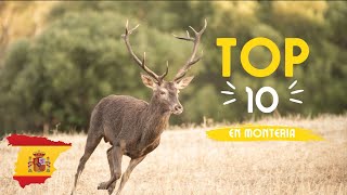 TOP 10 Tirs cerfs en Monteria [upl. by Awhsoj844]