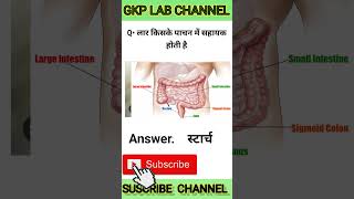 स्टार्च क्या होता है 🧠🧠 shots shortvideo bloodtest gk [upl. by Anierdna]