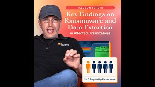 Halcyon Report  Key Findings on Ransomware and Data Extortion in Affected Organizations [upl. by Doreen]