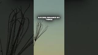 Success demand six things motivation patience shorts hustle inspiration viralvideo trending [upl. by Fillender]