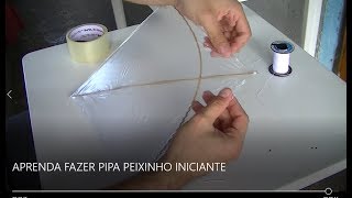 PIPA  PEIXINHO  APRENDA A FAZER quotINICIANTESquot [upl. by Biles]