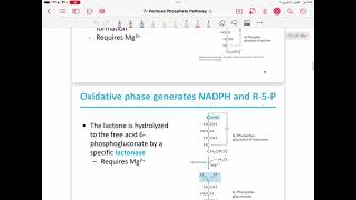 Lecture 13  pentose phosphate pathway [upl. by Nahej]