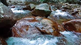 Calming River Flow ASMR  Soothing Water Sounds for Stress Relief [upl. by Warden]