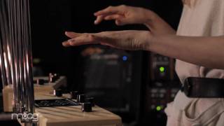 Introducing the Moog Polyphonic Theremin [upl. by Ecam]