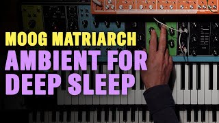 Moog Matriarch Ambient 1HOUR Pulsar 23 Microcosm [upl. by Aicenad130]