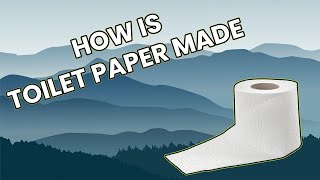 How is Recycled Toilet Paper Made [upl. by Iphagenia568]