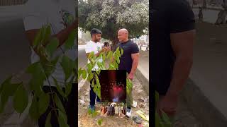 Today we planted another tree with Mukesh Gehlot sir Subscribe the channel uttammarg3893 [upl. by Repsac863]