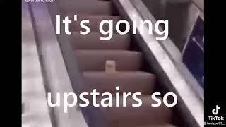 mayonnaise on an escalator [upl. by Ayifa]