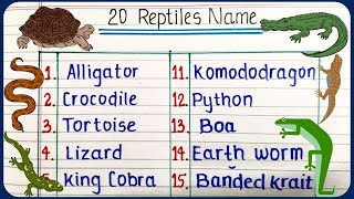 20 Reptiles name  learn reptile names in English  English vocabulary [upl. by Idaline]