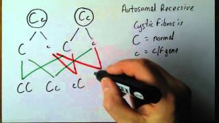 Genetics 4 Autosomal recessive disorders [upl. by Anwahsad787]