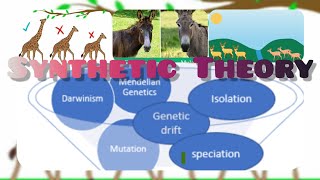 Synthetic Theory of EvolutionNeoDarwinism AnthropologyInsightsforUPSCNET [upl. by Czarra]