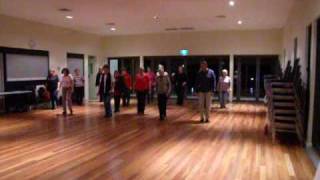 My First Steps  Beginner Line Dance [upl. by Jandel]