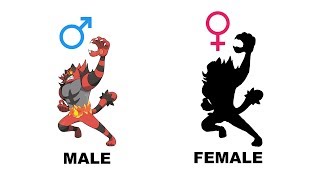 Litten Torracat Incineroar Gender Difference Fanart [upl. by Ahseinad]