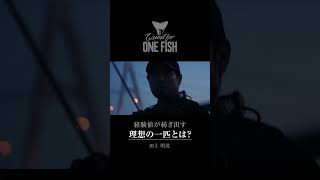 Quest for ONE FISH  盛夏の徳島県でシーバスを追う田上の“リアルシーバス” QOF リアルシーバス 田上明茂 シーバス エクスセンス [upl. by Ahtekal]